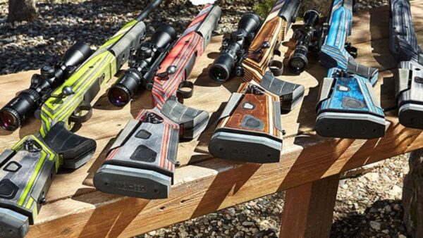 Boyds AT-One Stock for CZ