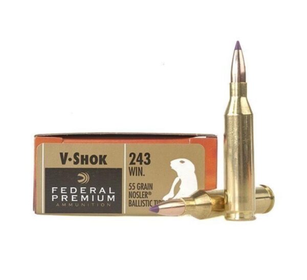 Federal V-Shok - .243 55GR