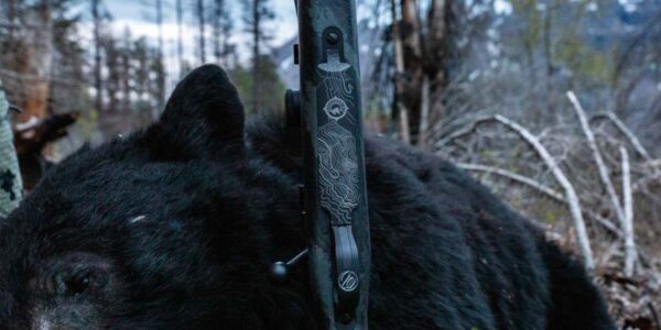 Weatherby V Backcountry Ti - Image 9