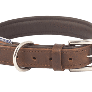 Dog Collar