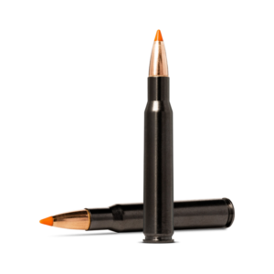 Norma Tipstrike Silencer 30-06 Springfield 170gr