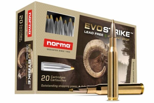 Norma .270 WIN EVOSTRIKE 96 gr