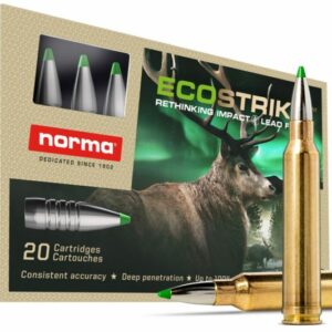 Norma .300 Win Mag ECOSTRIKE 165gr